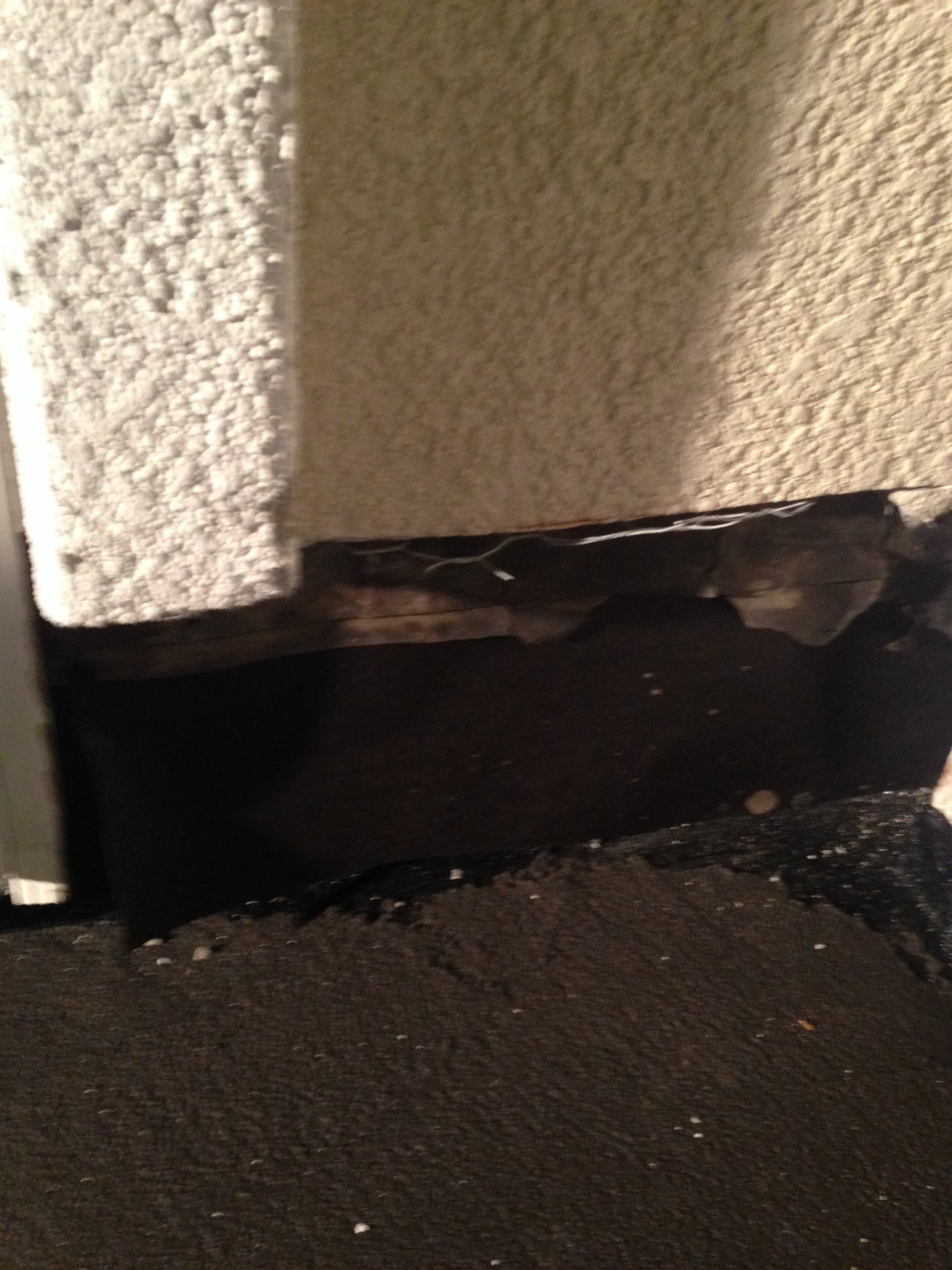 Construction work photo - IMG_1595.jpg - Heinige & Sons Construction