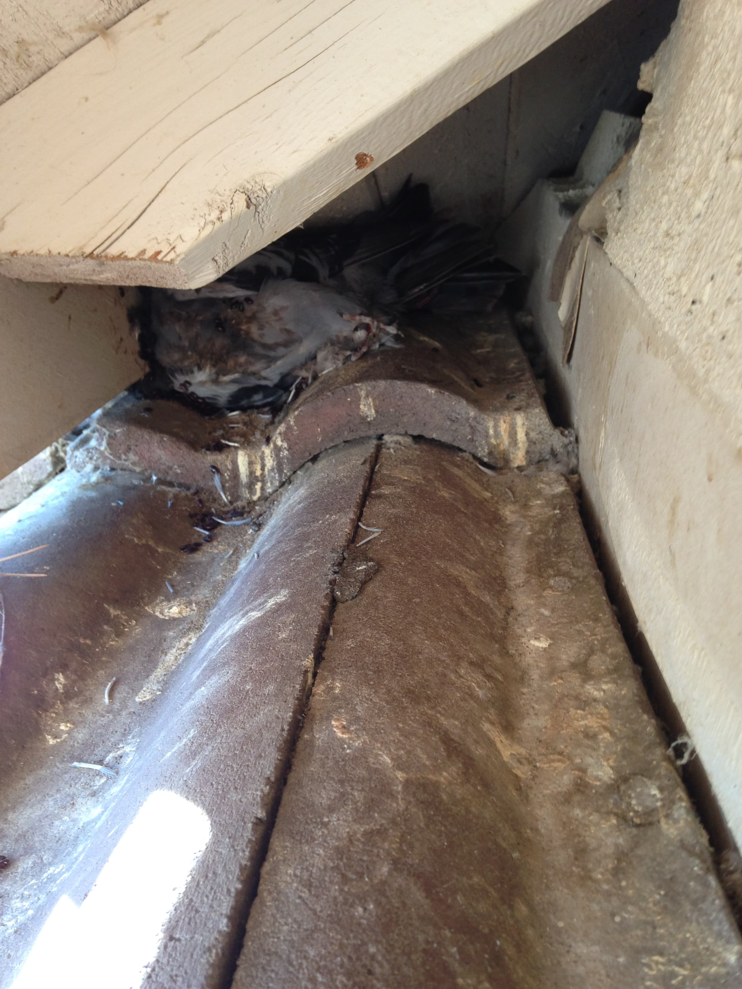 Construction work photo - IMG_1626.jpg - Heinige & Sons Construction